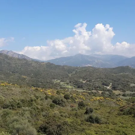 Sejoina * Calcatoggio (Corsica)