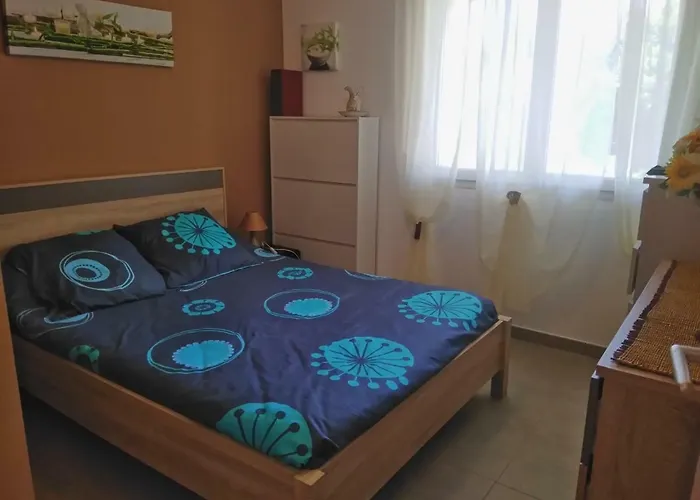 Sejoina كالكاتوكجيو