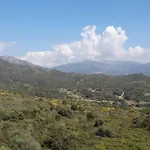 Sejoina * Calcatoggio (Corsica)