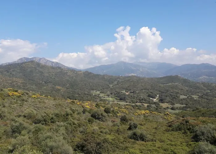 Sejoina * Calcatoggio (Corsica)